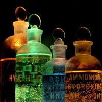 The Amateur Scientist