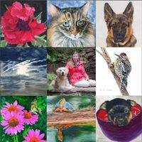Teresa Thompson Fine Art and Photography