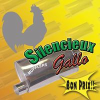 Silencieux Gallo Mufflers