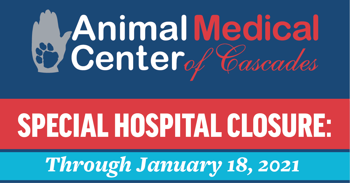 TEMPORARY CLOSUREDue to the local surge in COVID19 cases as well as possible staff exposures and a shortage of medical team members, we have made the decision to temporarily close the hospital through Monday, January 18, 2021. All appointments at our hospital through January 18th have been cancelled or rescheduled. During this time our staff will not be reachable by phone. All medication requests, and general inquires can be directed by email to amcvet@amccascades.com. Read more about this closure at: https://amccascades.com/temporary-closure/ We apologize for any inconvenience and thank you for your patience and understanding during this time.