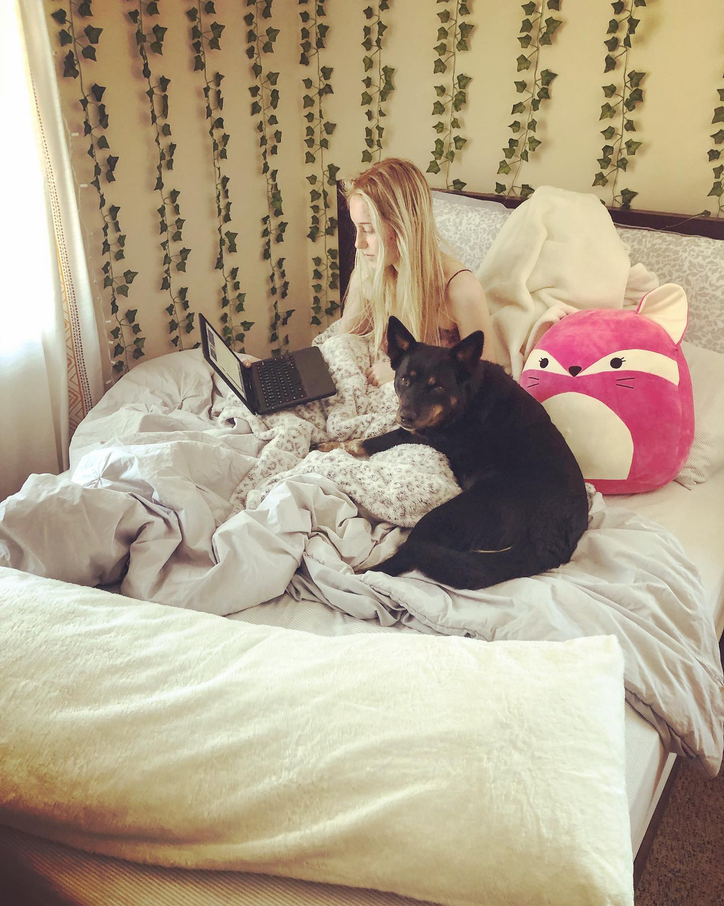 What school continues to look like for Quinn in 2021. Our foster, Laika, providing the moral support. Apply to adopt (Laika not Quinn) via @albertsdoglounge #fosterdogs #fosteringtosavelives #adoptdontshop #heelersofinsta #virtualschool #albertsdoglounge #madisondogma