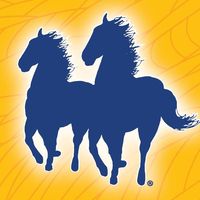 Mane 'n Tail