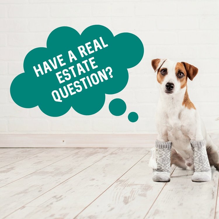 Do you have a question that's been on your mind about real estate?? Let's hear it! Comment below or message us! #realtor #azrealtor #buyingaz #gilbert #homebuying
